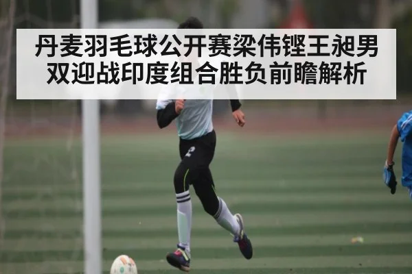 丹麦羽毛球公开赛梁伟铿王昶男双迎战印度组合胜负前瞻解析