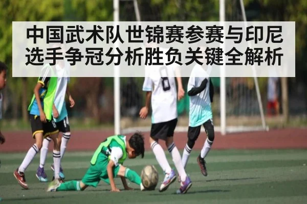 中国武术队世锦赛参赛与印尼选手争冠分析胜负关键全解析